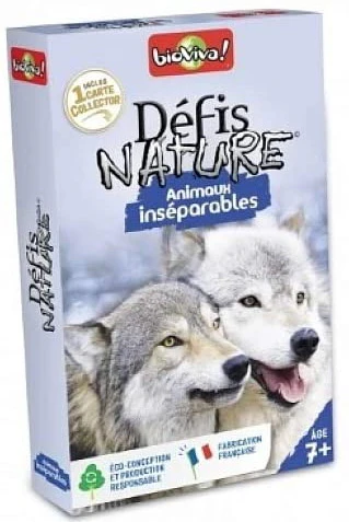 Cartes Défis Nature Animaux inséparables