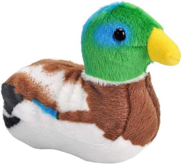 Peluche sonore Canard colvert