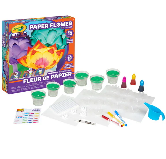 Expérience scientifique Fleur de papier