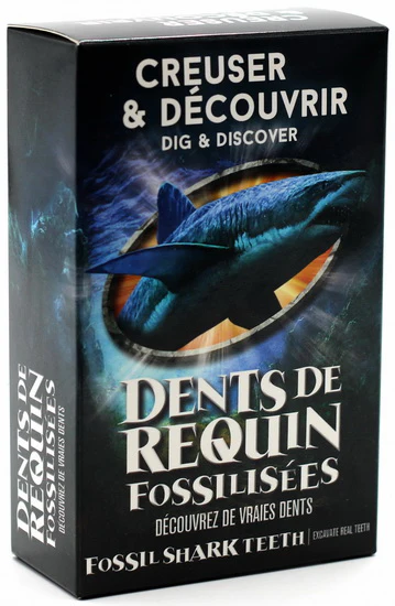 Creuser et découvrir - Dents de requin