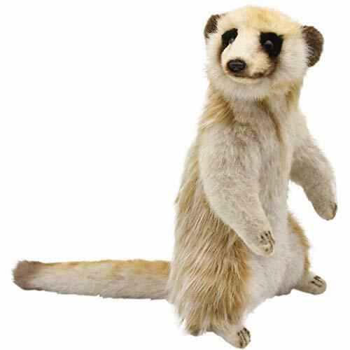Peluche Mangouste 22cm
