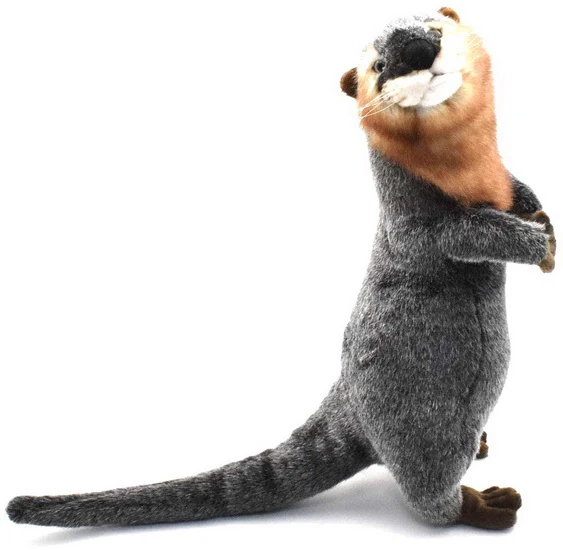 Peluche Loutre de rivière 35cm