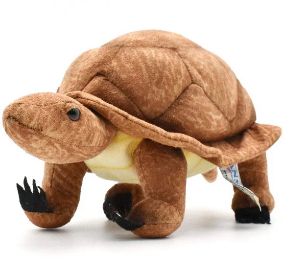 Peluche Tortue des bois 22cm