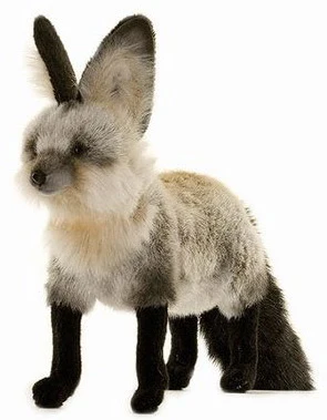 Peluche Renard du cap 35cm