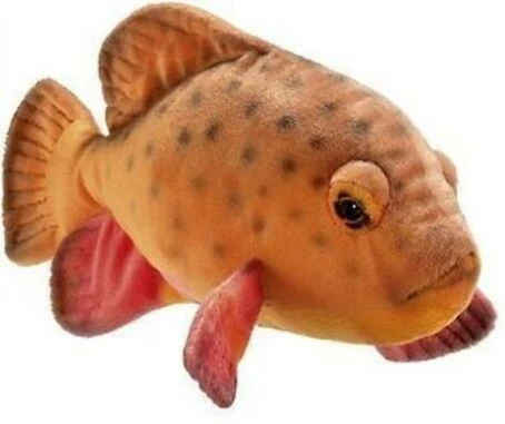 Peluche Poisson tropical 30cm