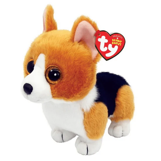 Corgi Colin petit