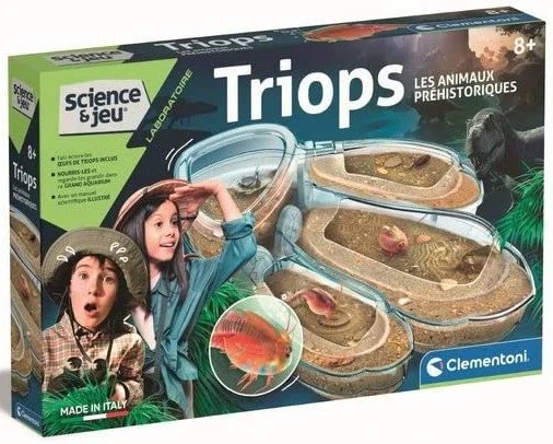 Triops animaux préhistoriques