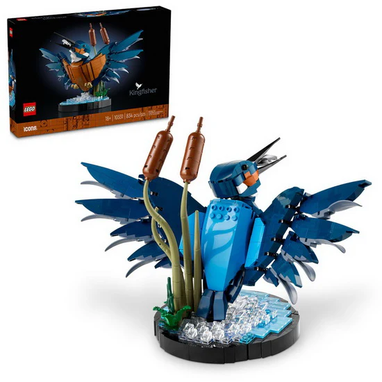 L'oiseau martin-pêcheur