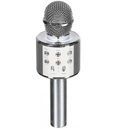 Enceinte karaoké
