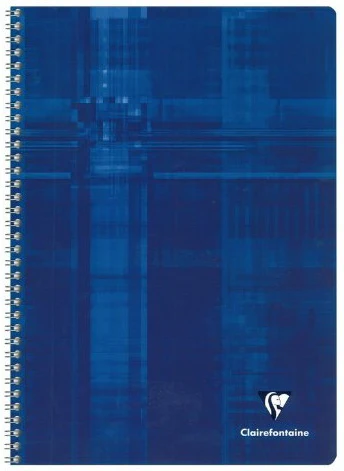 Cahier spirale 5/5 Graph 100p 21x29.7cm AS