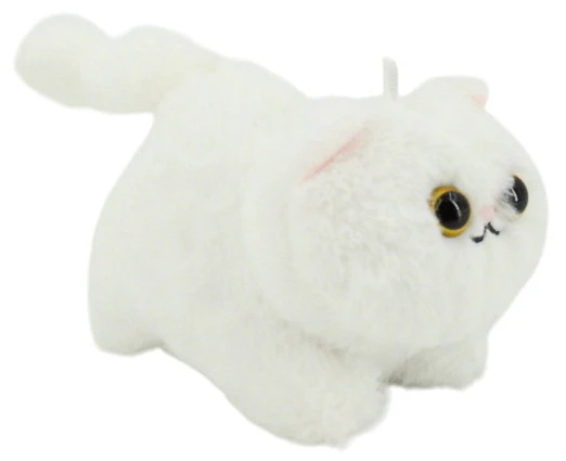 Chat animé 2AS