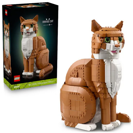 Le chat orange