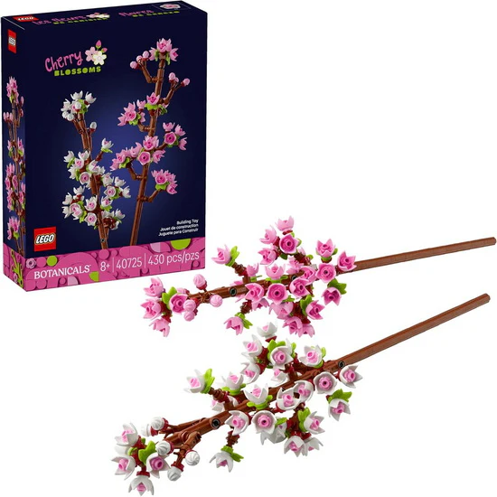 Les fleurs de cerisier